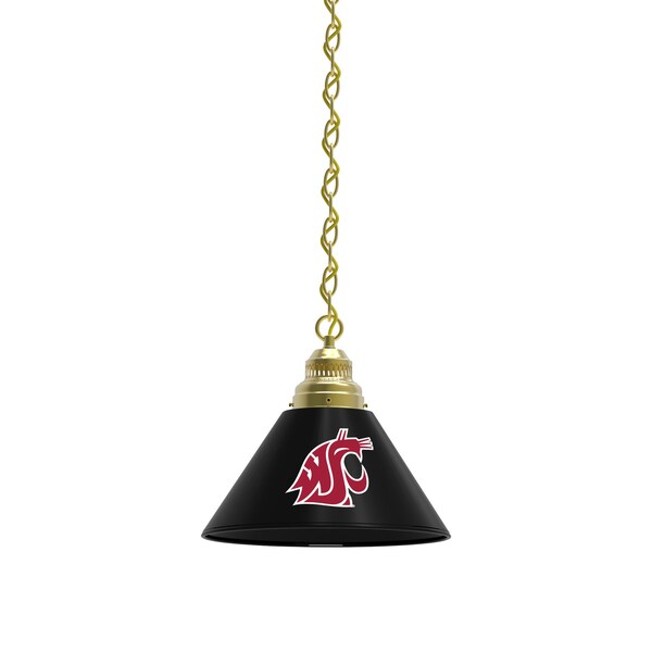 Washington State Pendant Light, Brass Fixture