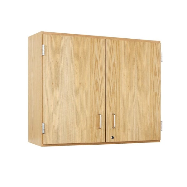 Wall Mount & Shelving Storage Cabinet, 30 in H, 42 in W, 2 Adjustable Shelves