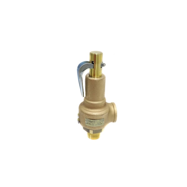 1 1/2 in. x 2 in. 150# STEAM 6616PPH