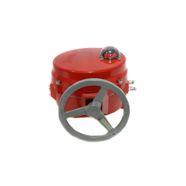 2000 inlb 24V ACT NEMA4