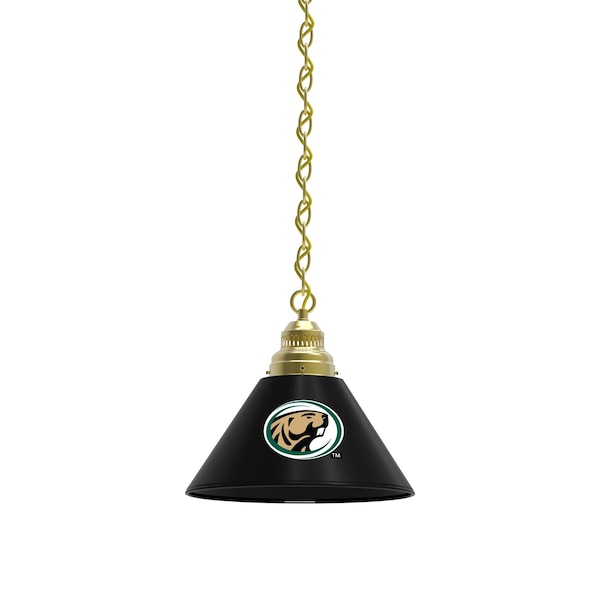 Bemidji Pendant Light, Brass Fixture
