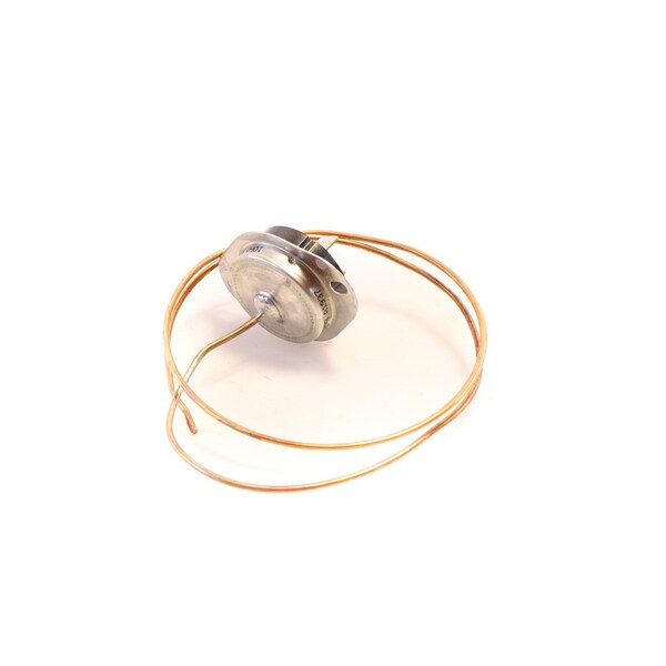 180F CO LimitSwitch 22 in. Insert