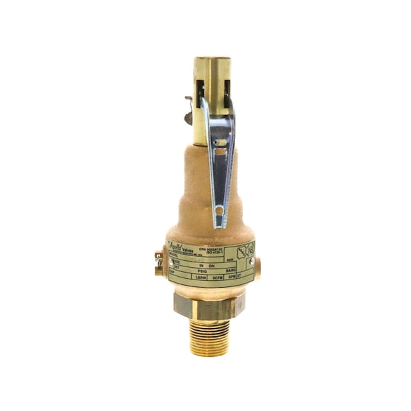 Valve 3/4"X 1" 125 Steam 1404 Pph