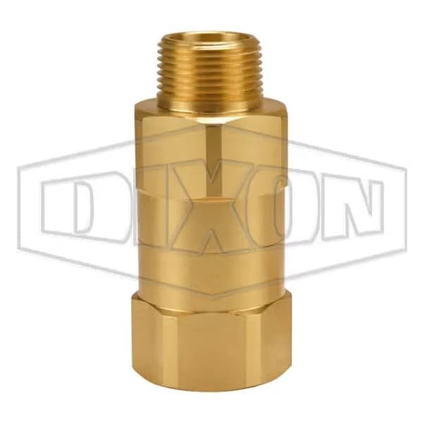 Safety Check Valve, 1 in, FNPT, Brass Body