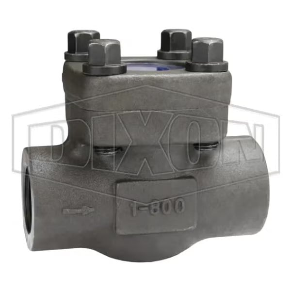 Check Valve, 1 in Nominal, FNPT End Style, Forged Steel Body, Import