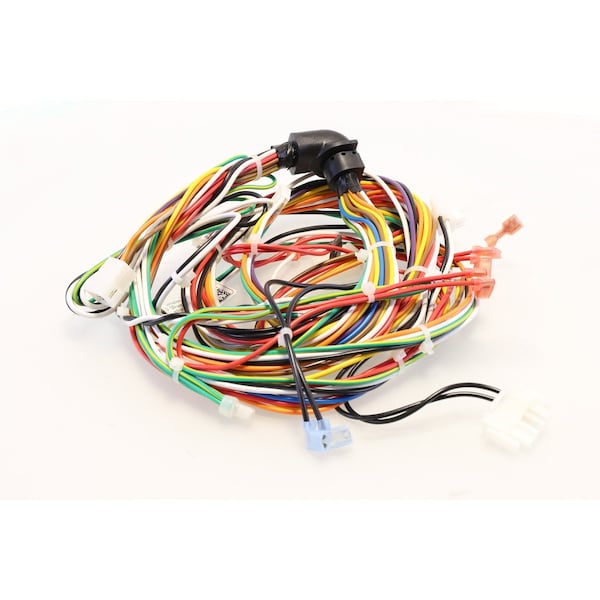 Main Harness Assy