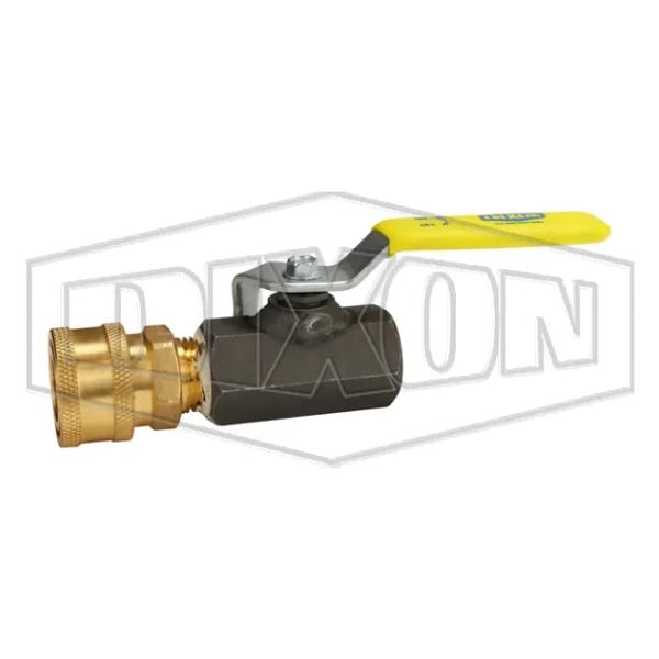 IBV50 W/BLEED-OFF VALVE FOR PNEUMATIC TEST