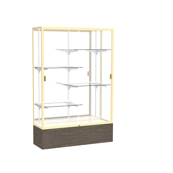 Floor Display Case 48x72x16, Mirror, Champange