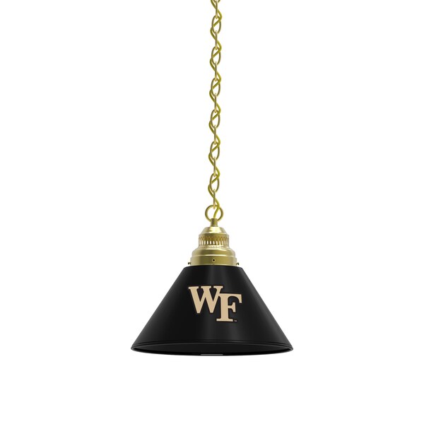 Wake Forest Pendant Light, Brass Fixture