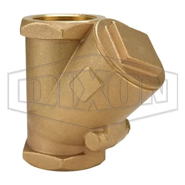 Check Valve, 2 in Nominal, FNPT End Style, Brass Body
