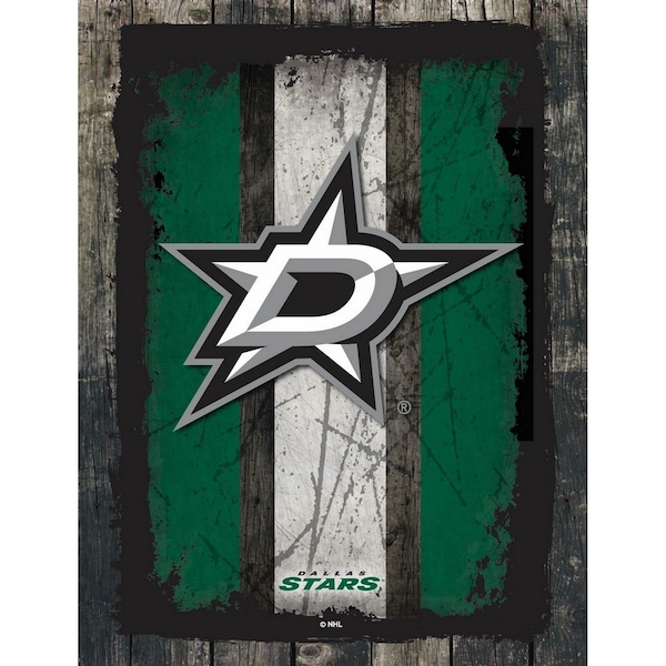 Dallas Stars 15" x 20" Canvas Wall Art