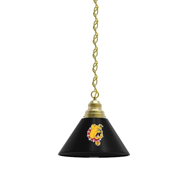 Ferris State Pendant Light, Brass Fixture