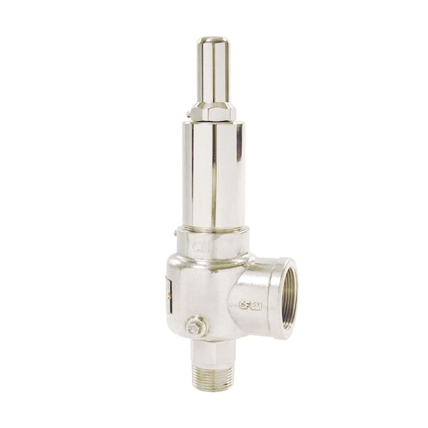 POP Safety Valve, 1/2 x 3/4 In, 150 psi