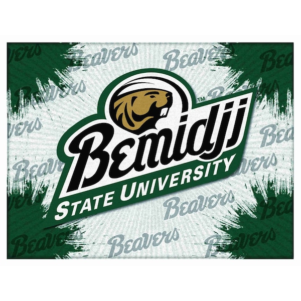 Bmidji State University 24"x32" Canvas Wall Art