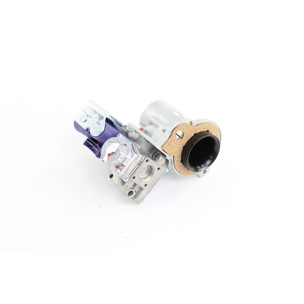 Gas Valve Assembly, Lo100172003
