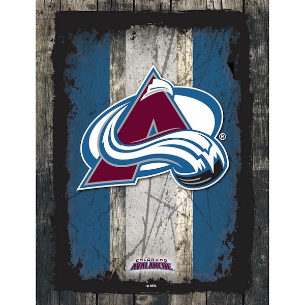Colorado Avalanche 15" x 20" Canvas Wall Art