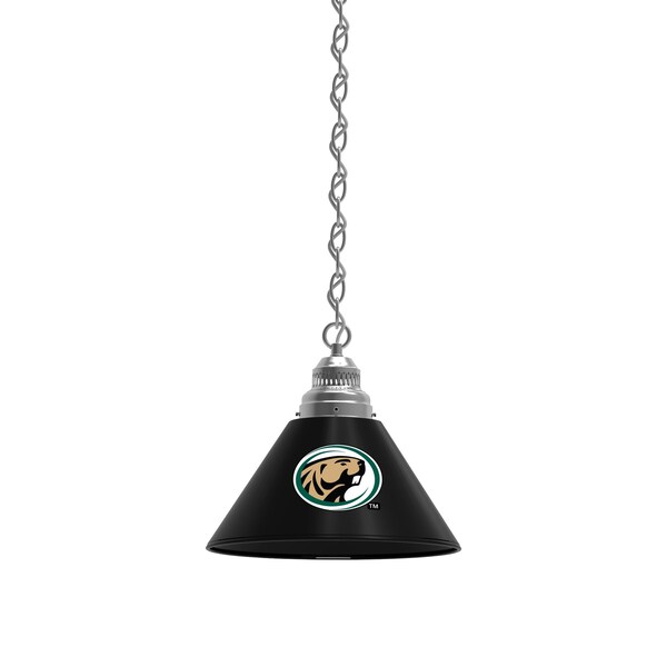 Bemidji Pendant Light, Chrome Fixture