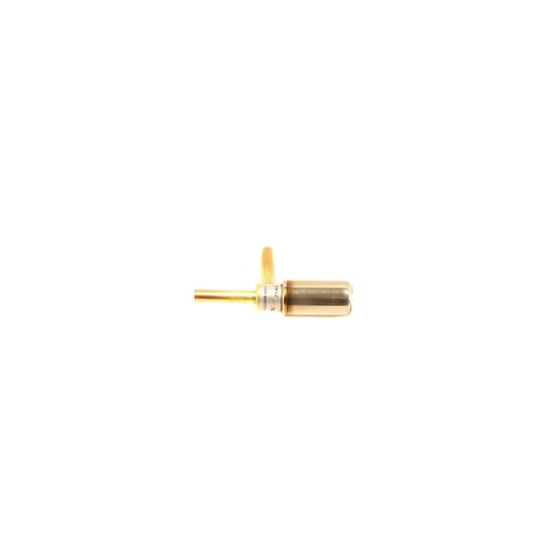 EEV Valve