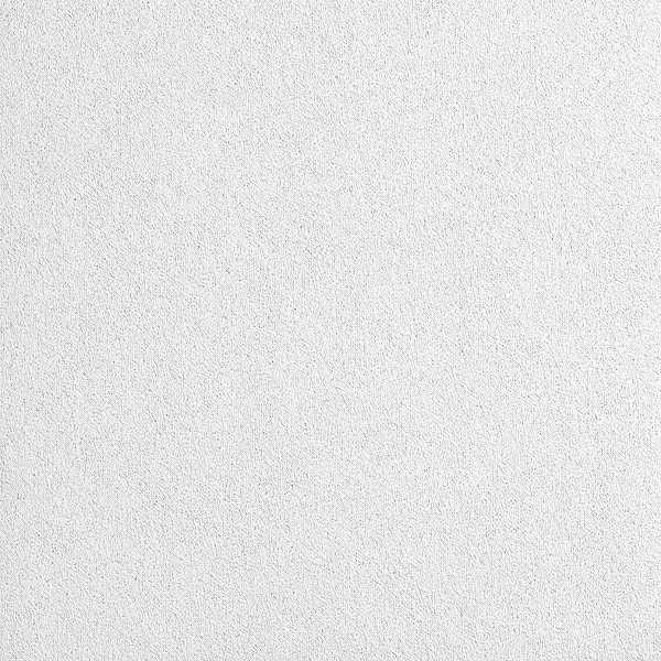 Ceiling Tile, 24 in W x 24 in L, Square Tegular, 15/16 in Grid Size, 10 PK