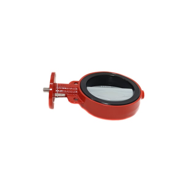 8 in. WfrBflyNy, CI body, SS STEM