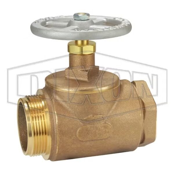 Straight Globe Valve, 2-1/2 in, FNPT, Brass Body