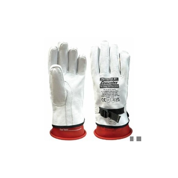 10 Low Voltage CS Protectors: 10