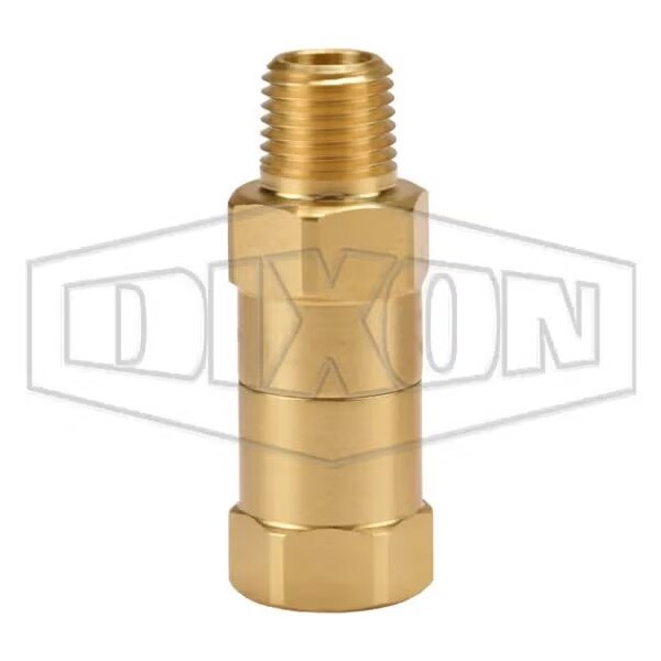 Safety Check Valve, 1/4 in, Brass Body