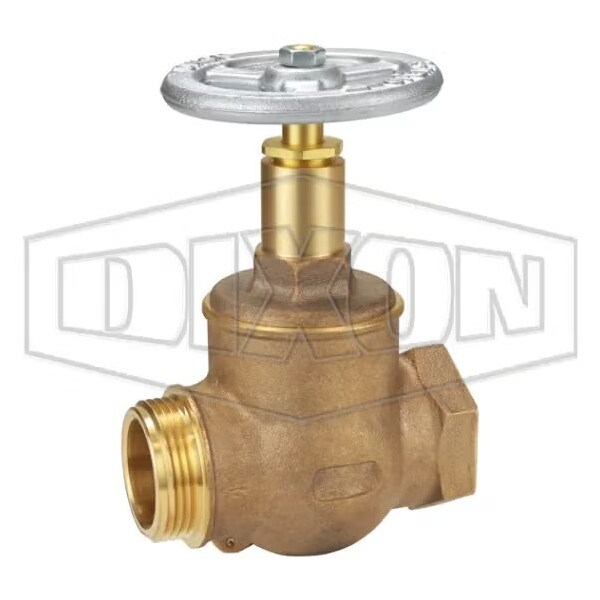 Straight Globe Valve, 1-1/2 in, FNPT, Brass Body
