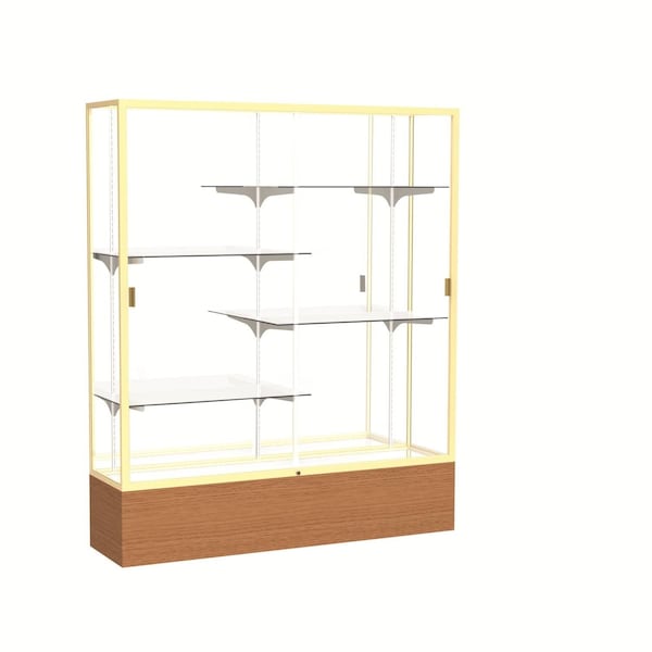 Floor Display Case 60x72x16, Mirror, Champange