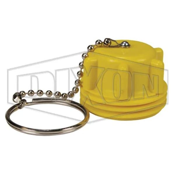 Dust Plug with Dust Seal and Chain Assembly, 2-1/4 in, Male ACME, Plastic, Domestic
