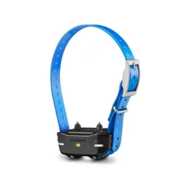 PT 10 Additional PRO Dog Collar Blue Blue