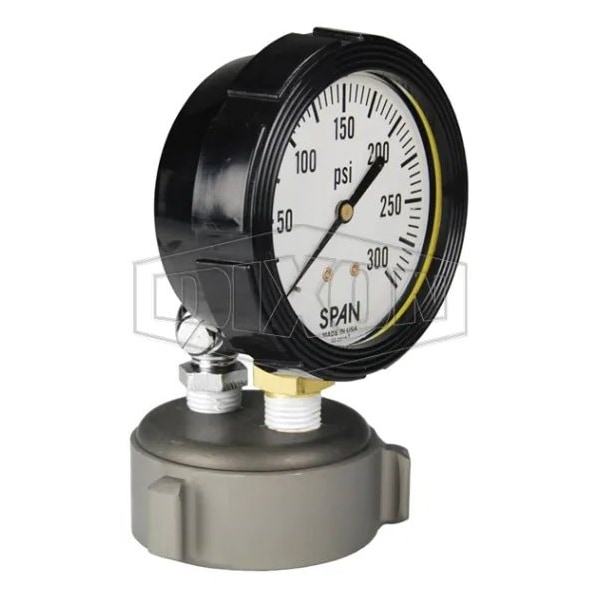 Cap Test Gauge with Petcock, 0 to 300 psi Pressure, Aluminum