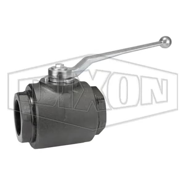 HPBV Full Bore High Pressure Ball Valve, FNPT End Style, Carbon Steel Body, FKM/FPM/POM Polyacetal S