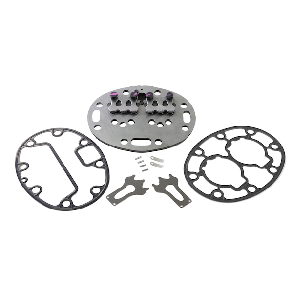 Valve Plate Kit