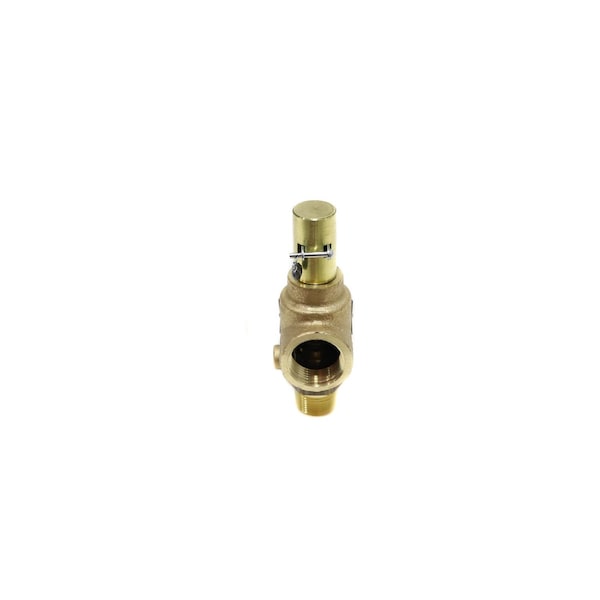 3/4 in. 45# 220pph Steam Relief