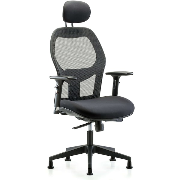 Executive Mesh Chair, Headrest, 3DAGlds