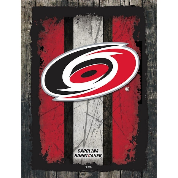 Carolina Hurricanes 15" x 20" Canvas Wall Art