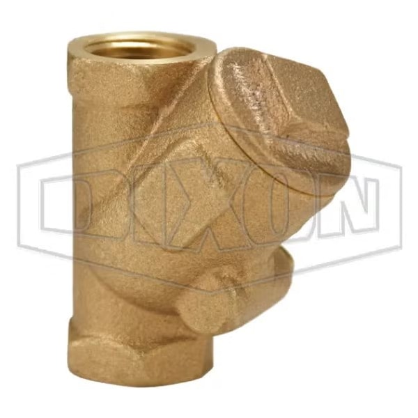 Check Valve, 1/2 in Nominal, FNPT End Style, Brass Body