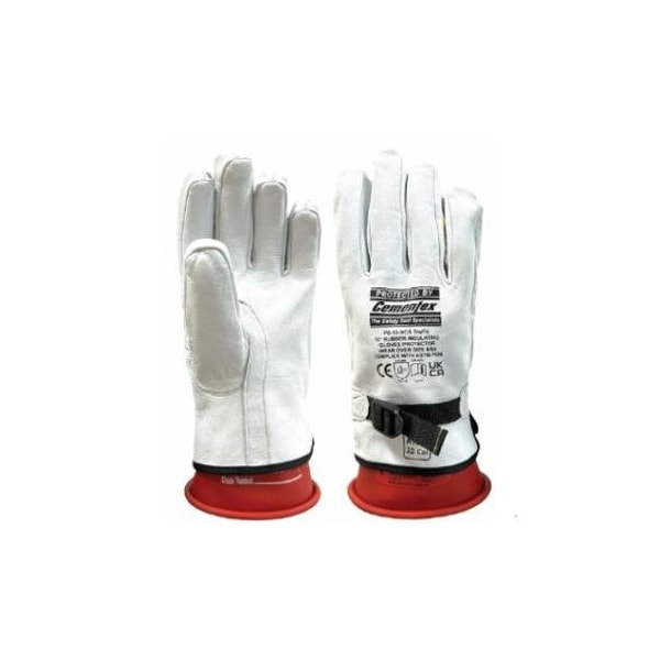 10 Low Voltage Protectors: 11