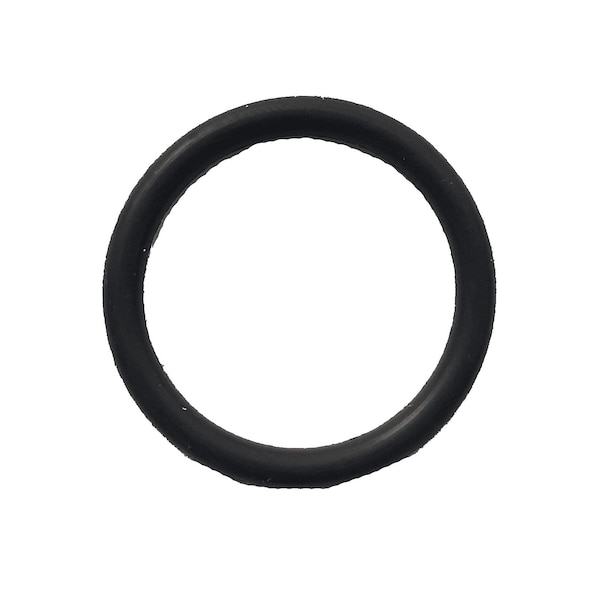 Radial Window O-Ring