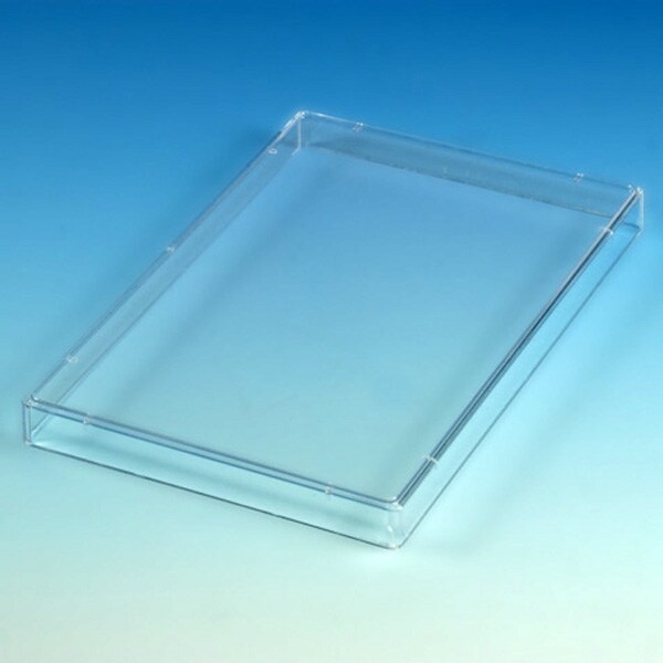 Lid For Microtest Plates, Ps, PK150