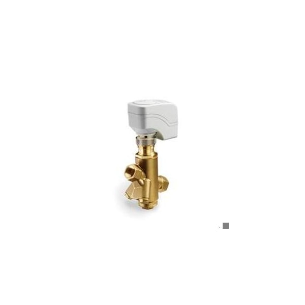 Picv Assembly, Two Way, 1/2", 1.5 Max gpm