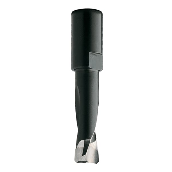 Router Bit For Domino Joining, 10, Rght