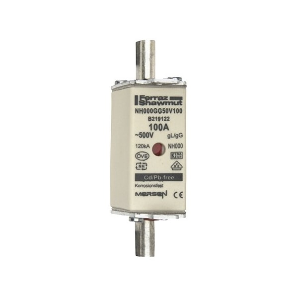 Fuse Link, B21 Series, 100A, Time-Delay, 500V AC, Square