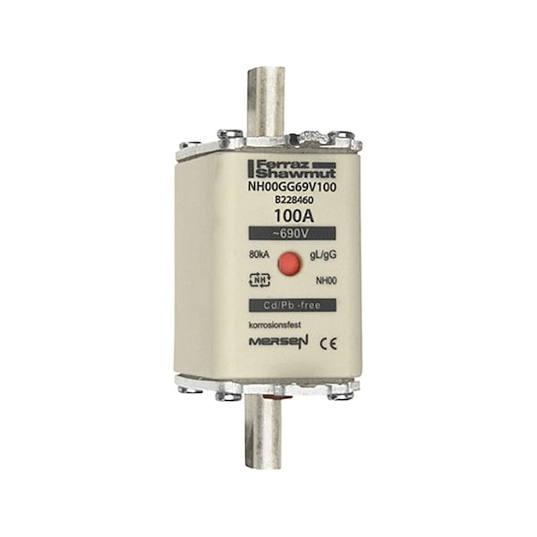 Fuse Link, B22 Series, 100A, Time-Delay, 690V AC, Square