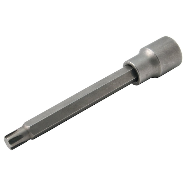 Ribe Bit Socket, 10mm