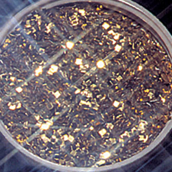 Gold Glitter, 1 lb.