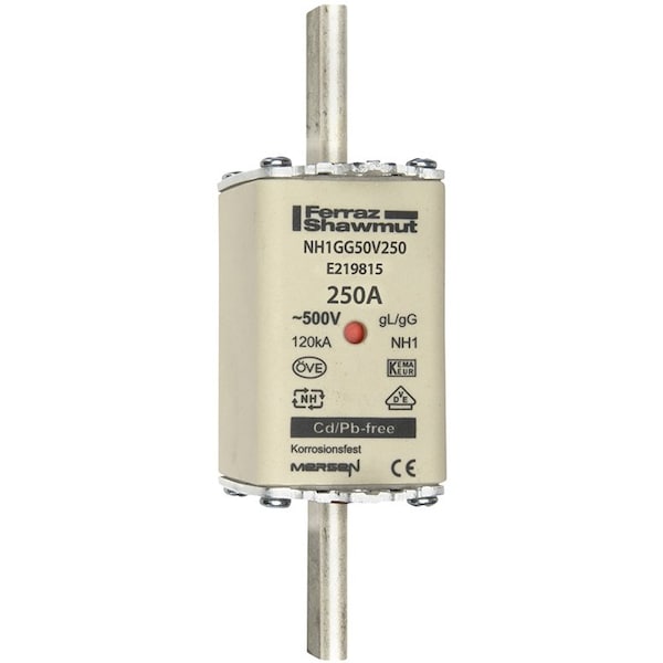 Fuse Link, E21 Series, 250A, 500V AC, Square