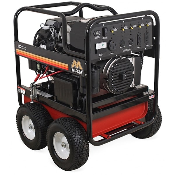 Portable Generator, Gasoline, 12,000 W Rated, 14,000 W Surge, Electric Start, 120/240V AC, 100/50 A