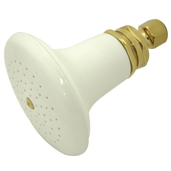 Shower Head, Polished Brass, Wall Mount